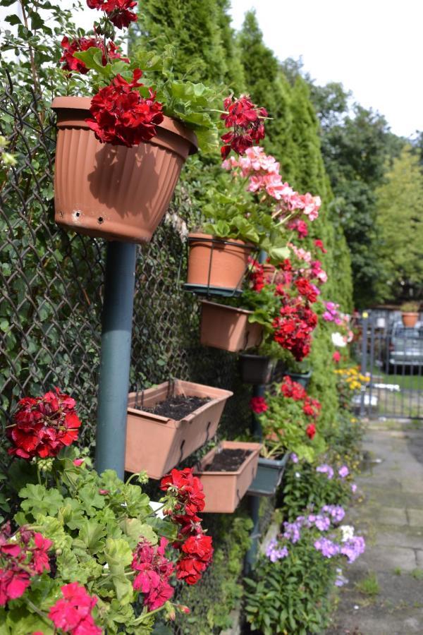 Warszawa Stare Bielany Bed and Breakfast Exteriör bild